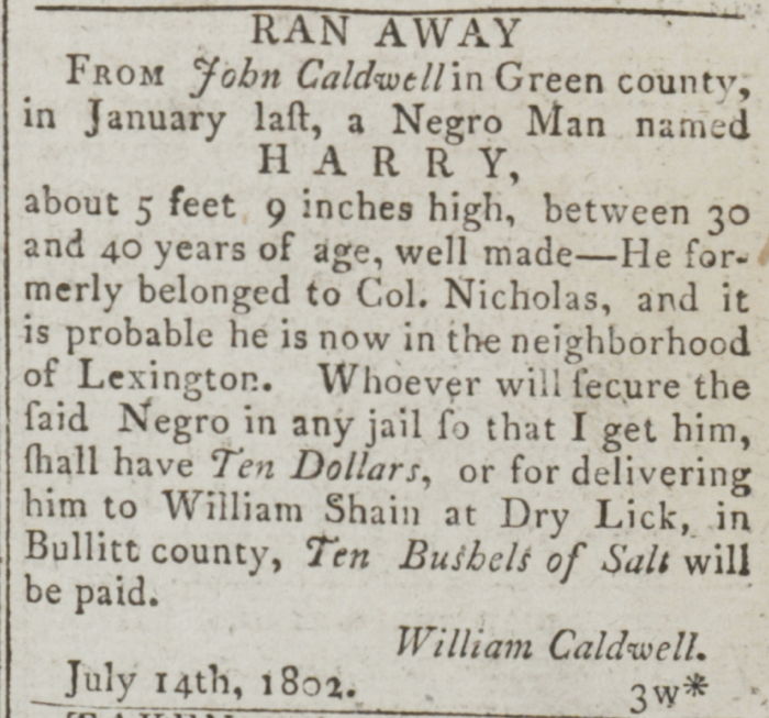 Runaway Slave