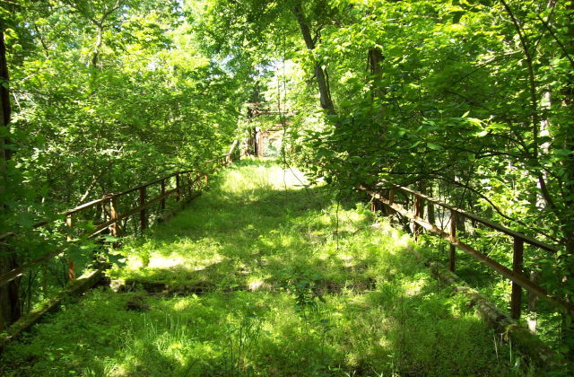 Wooldridge Ferry Bridge