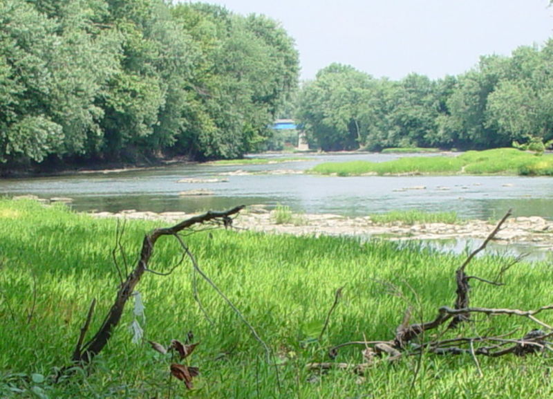 River Scene